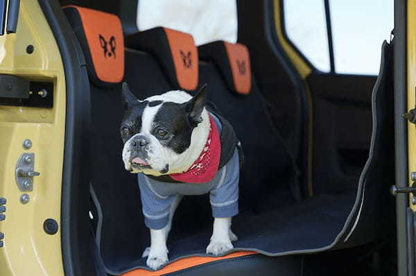 ルノー・カングー専用“FRENCH BULLDOG LIFE”コラボのペット用アクセサリーが期間限定で販売!