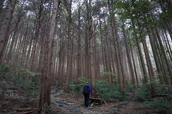 眺望最高♪ロッククライミング気分も味わえる！気軽な登山4選＜兵庫＞