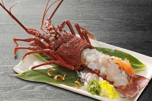 伊勢海老とロブスターはどちらも高級食材だけど・・違いは一目瞭然？！味の違いは？値段が高いのはどっち？