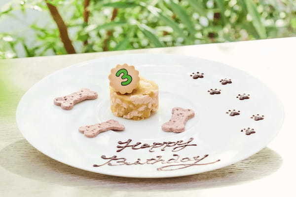 平日テラス限定!愛犬の写真がプリントされたカフェラテ付「ドッグウェルカムプラン」が新登場