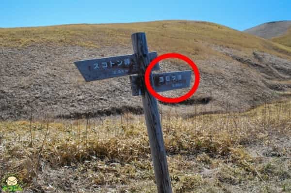 絶景の連続!北海道・礼文島でトレッキングを楽しもう~岬めぐりコース編~