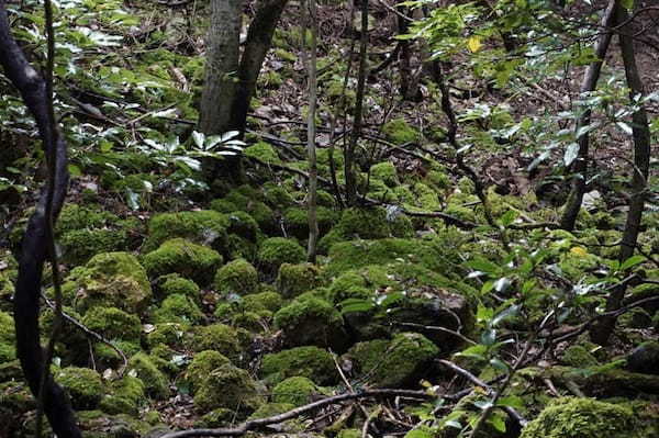 眺望最高♪ロッククライミング気分も味わえる！気軽な登山4選＜兵庫＞