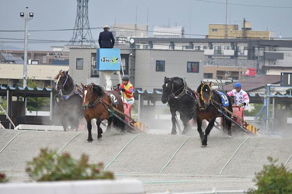 【北海道】興奮せずにいられない！馬の逆転ライブショー「ばんえい十勝」