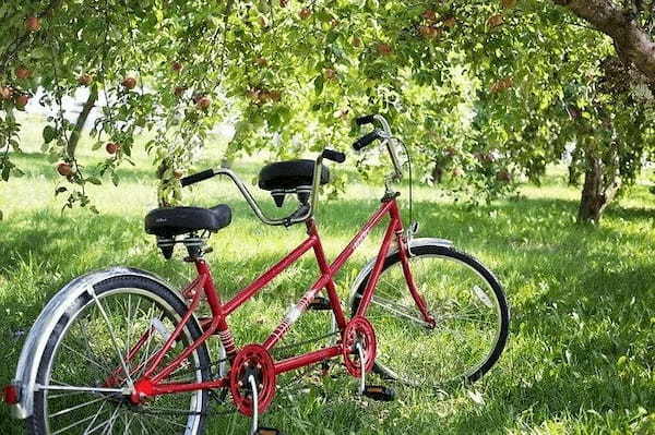 駒沢公園での自転車練習ガイド！親子向けのコース情報や貸出料金もご紹介！