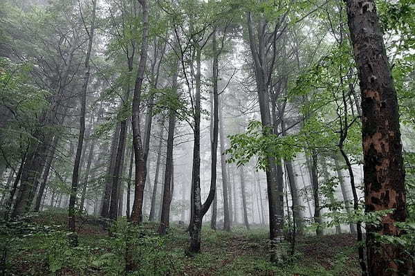 雨の日登山って大丈夫？安全な楽しみ方や、冷え対策などの注意点も解説！