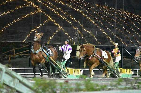 【北海道】興奮せずにいられない！馬の逆転ライブショー「ばんえい十勝」