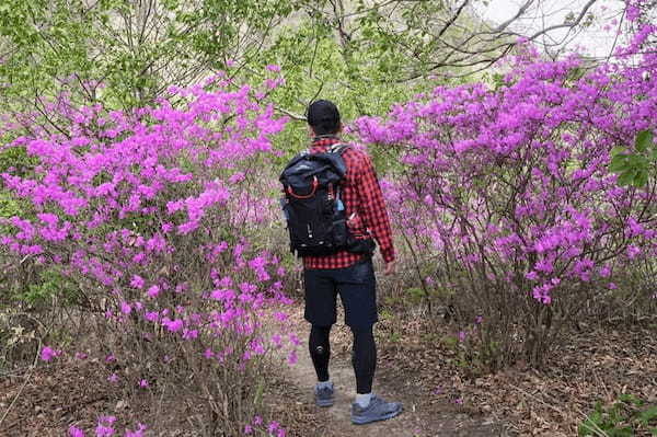 【兵庫】達成感がハンパない！クセになる日本一低い小野アルプスの登山