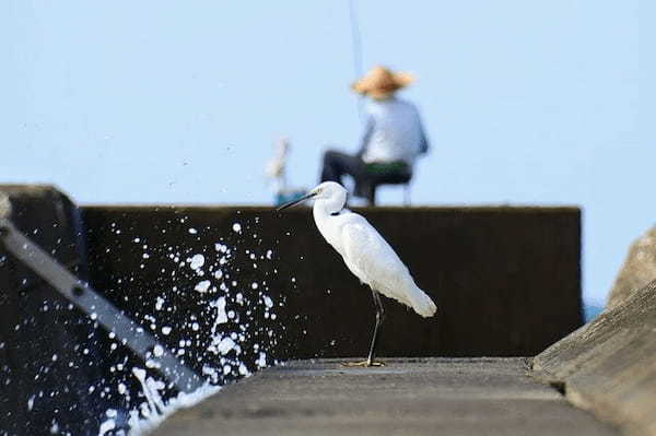 雨上がりは釣れる？釣れない？釣り場での注意点、天候と釣果の関係についても！