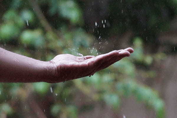 梅雨時の言葉のひとつ「虎が雨」。この虎は動物のことではなく人名なんです!!