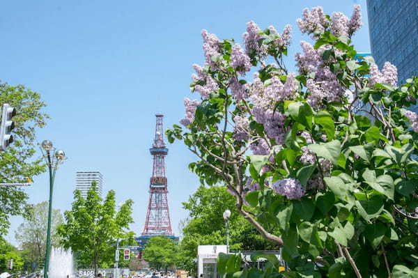 北海道だけで使われる言葉「リラ冷え」とは何のこと?その意味や語源を解説!