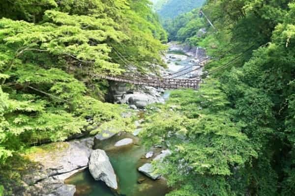 徳島県で愛犬とおでかけ！気軽に立ち寄れるカフェやペットと泊まれる宿を愛犬家目線でピックアップ