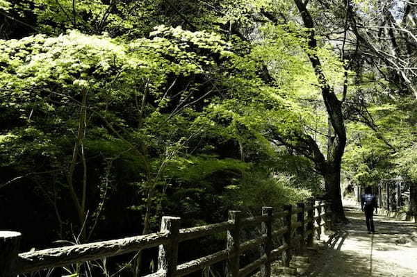 気分爽快♪新神戸駅から徒歩15分で森林浴の森へエスケープ