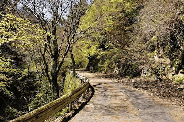 気分爽快♪新神戸駅から徒歩15分で森林浴の森へエスケープ