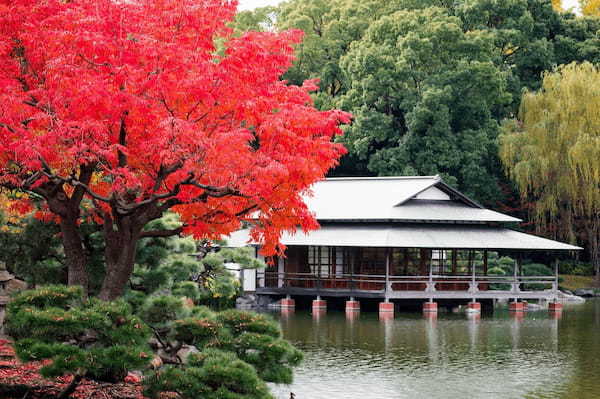 紅葉、コーヒー、深川めし......秋は清澄白河で大人の散策