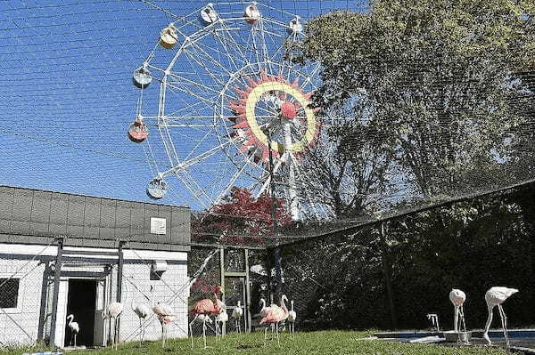 ワンコインでおつりがくるコスパ最高の動物園　「おびひろ動物園」