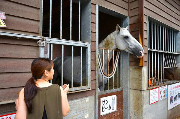 【北海道】興奮せずにいられない！馬の逆転ライブショー「ばんえい十勝」