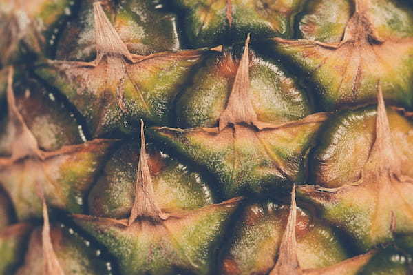 「パイナップルの種」はどこにある?そもそも種のある植物なの?