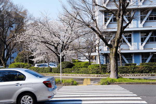 「横断歩道、クルマは徐行すべき」は間違い!“直前で止まれる速度”と“直ちに止まれる速度”は全く違うって知ってた?