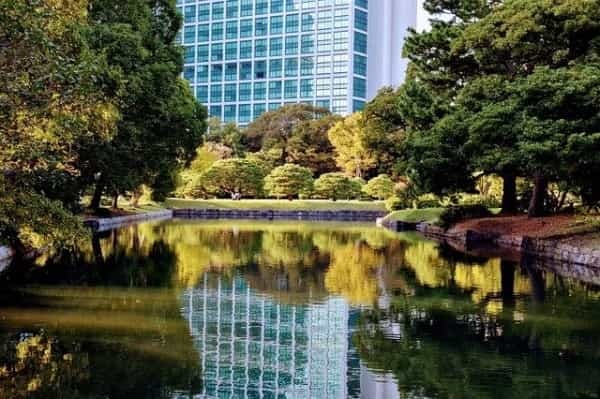 黄色い絶景に秋を感じる、上野公園の紅葉スポットをご紹介！見頃や見どころも解説！