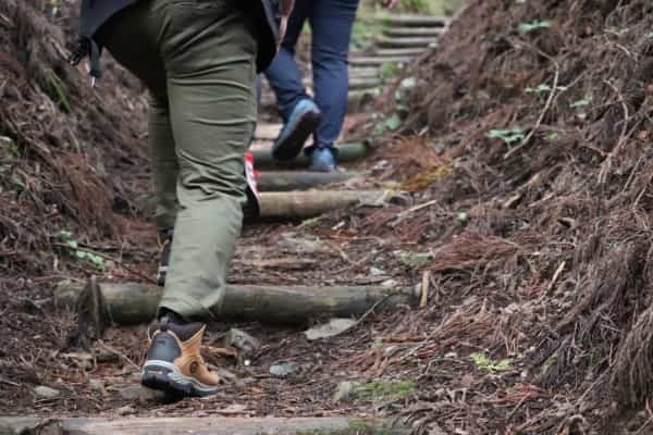 お遍路だけじゃない山の楽しみ｜徳島の魅力を再発見