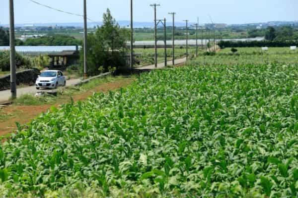 東洋一美しい絶景ビーチでリフレッシュ｜宮古島でのんびりノマドワーク