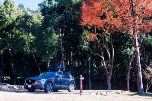 紅葉の時期はキャンプに限る！CX-5にギアを積んで季節を感じに行こう【あなたの『車×キャンプスタイル』】