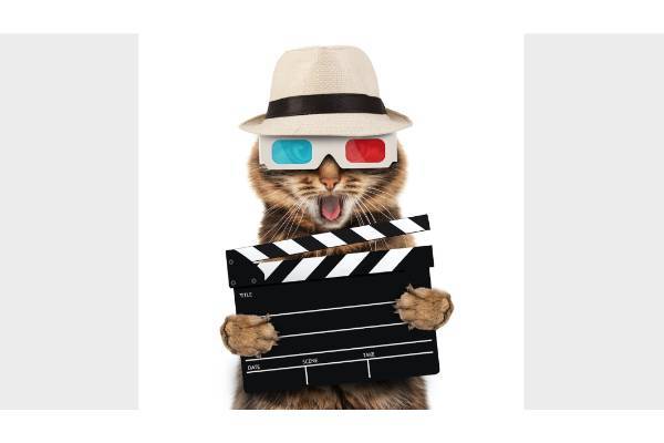 シュレーディンガーの猫の「フィルム化」に成功