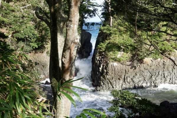 【宮城】南三陸町の神割崎のおすすめはダイナミックな絶景！