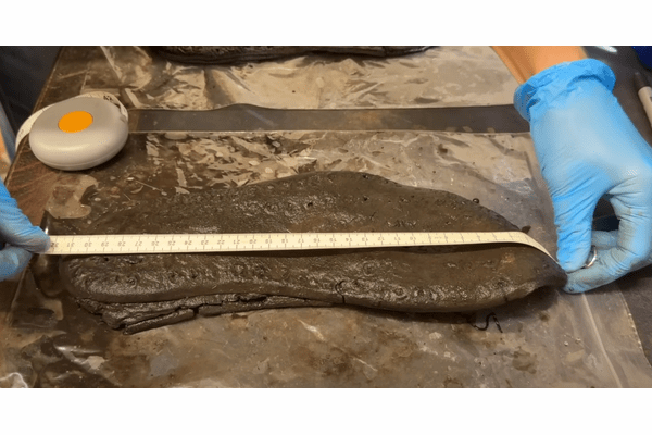 古代ローマの砦を守っていたのは“巨人兵”だったのか。2000年前の遺跡から発掘された「異様に大きい靴」に考古学者が困惑の画像2