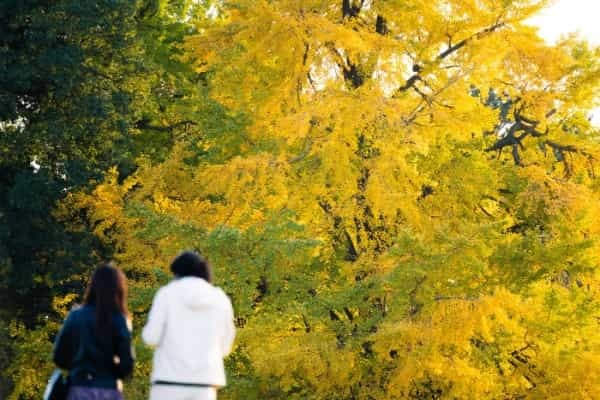 ドライな人は誤解されやすい？特徴と上手な付き合い方を解説！