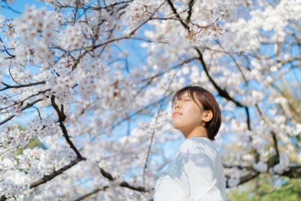 新年度入り