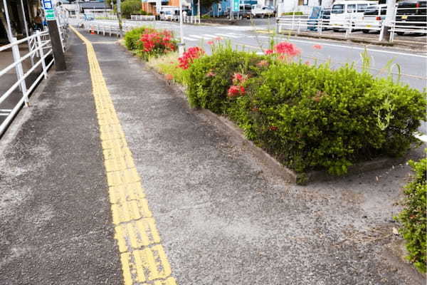 「これがあるから道が狭い」雑草茂りゴミ溢れる道路脇の植え込み…税金で管理される“道路植栽”いる?いらない?