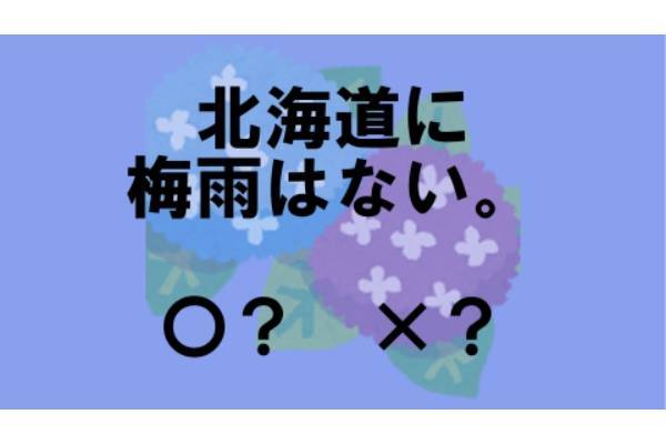 〇×クイズ テーマ：梅雨【〇× vol.９】