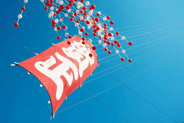 【正月飾りの基礎知識】種類、期間、飾り方から処分方法まで徹底解説