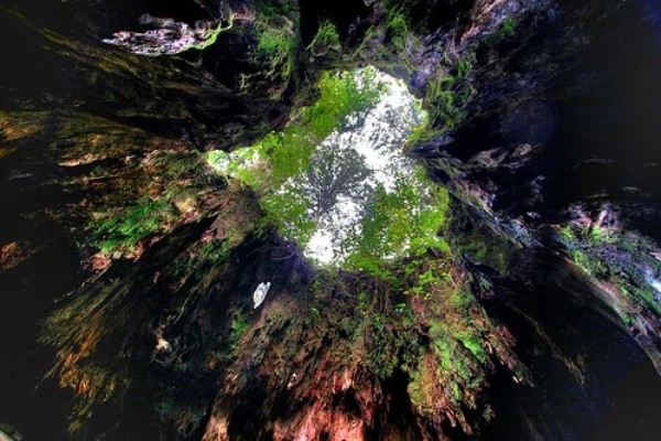 【初めてでも安心】屋久島のトレッキングガイド！準備物やおすすめのコースをご紹介！