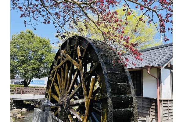 湧き出る美しい水を飲んで散歩をしたら、ロマンが見えた～菊池市七城町亀尾　前川水源、亀尾城跡～