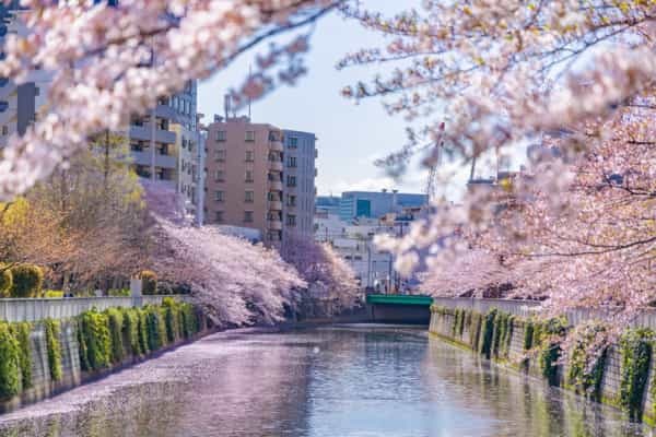 城南エリアで不動産投資！品川区・目黒区・大田区・港区の特徴を解説