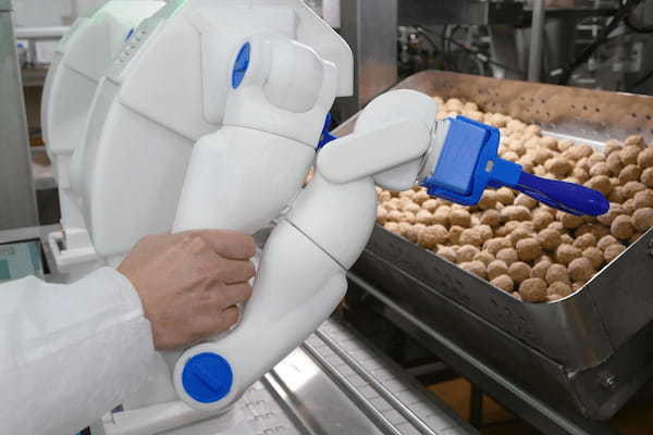 イチビキ、惣菜製造に人型協働ロボットを導入