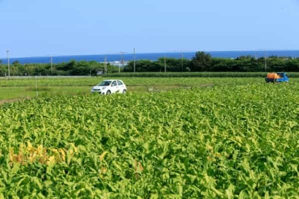 東洋一美しい絶景ビーチでリフレッシュ｜宮古島でのんびりノマドワーク