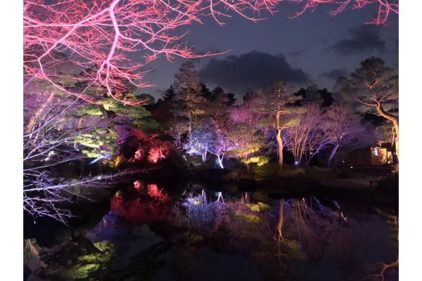 【島根県】大感動の庭園イルミネーション！「由志園」がおすすめ！