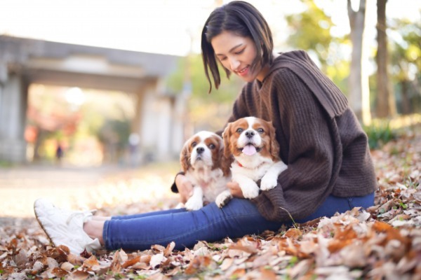 物件数が少なくて犬猫との引越しは大変！ペット可マンション・アパート・戸建の探し方や注意点を物件数データと共に解説