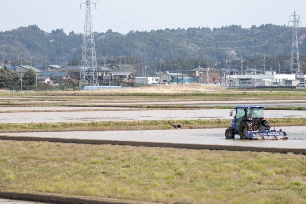 【連載】旅行好きと行く！菜の花の絨毯が広がるローカル線いすみ鉄道の旅