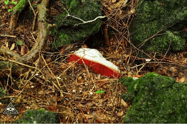 「孕メ三七」青木ヶ原樹海で見つけた不気味な暗号の画像7