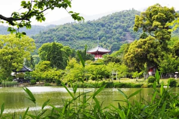 知ってたら京都通！穴場の寺社仏閣6選｜いつもと違う京のまちを旅しよう