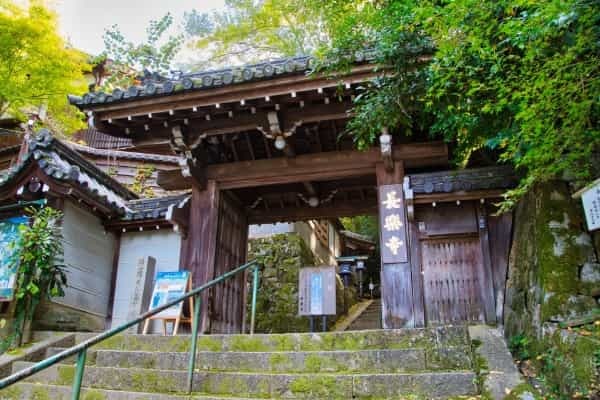 知ってたら京都通！穴場の寺社仏閣6選｜いつもと違う京のまちを旅しよう