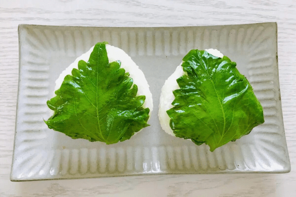 大葉の保存術