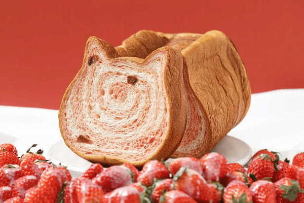【春限定のねこねこ3商品が登場】「ねこねこ食パン 練乳いちご」「ねこねこ食パン 三色ねこねこ」「にゃんチー ロイヤルミルクティー」3月1日より期間限定新発売