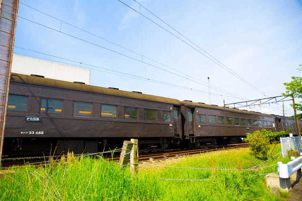 【連載】SLに乗って絶景旅！静岡大井川鐵道の魅力を紹介