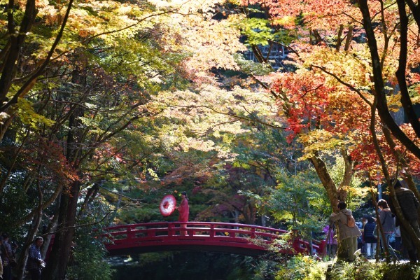 【2022年】紅葉の見頃はいつまで?穴場から定番までおすすめスポット24選