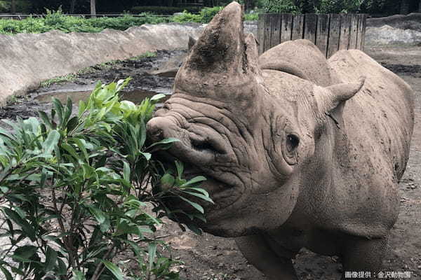 横浜で発見された間違い探し、あまりにレベルが高すぎる…　「隠れた秘密」に称賛の嵐